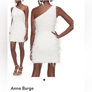 Anne Barge Twinkle in Time Feather Dress